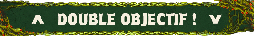 Double objectif