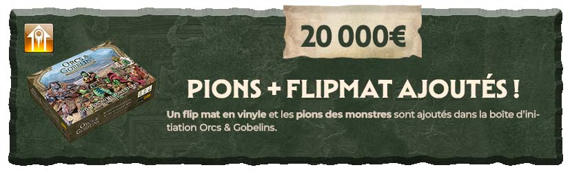 Pions + Flipmat dans la boîte d'initiation