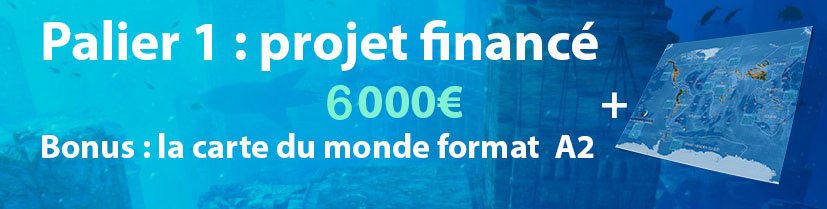 Palier 1 : projet financé