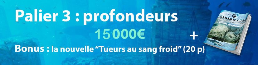 Palier 3 : profondeurs