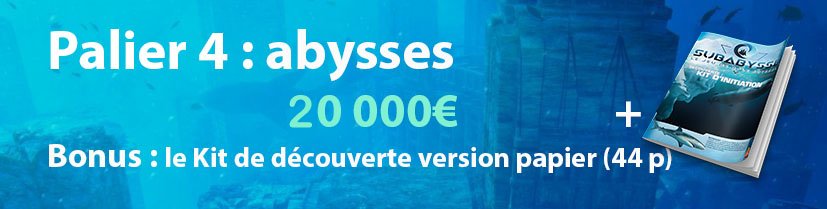 Palier 4 : abysses