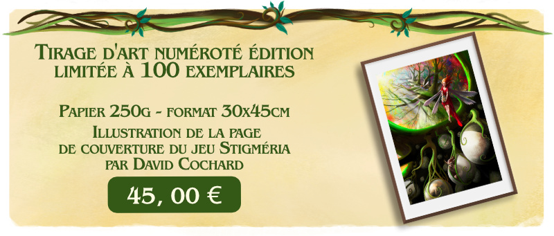 Tirage d'art numéroté édition limitée à 100 exemplaires - Papier 250g - format 30x45cm - Illustration de la page de couverture du jeu Stigméria par David Cochard