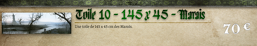 Toile 10 - Marais 145 x 45