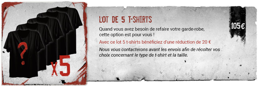Lot de 5 T-Shirt