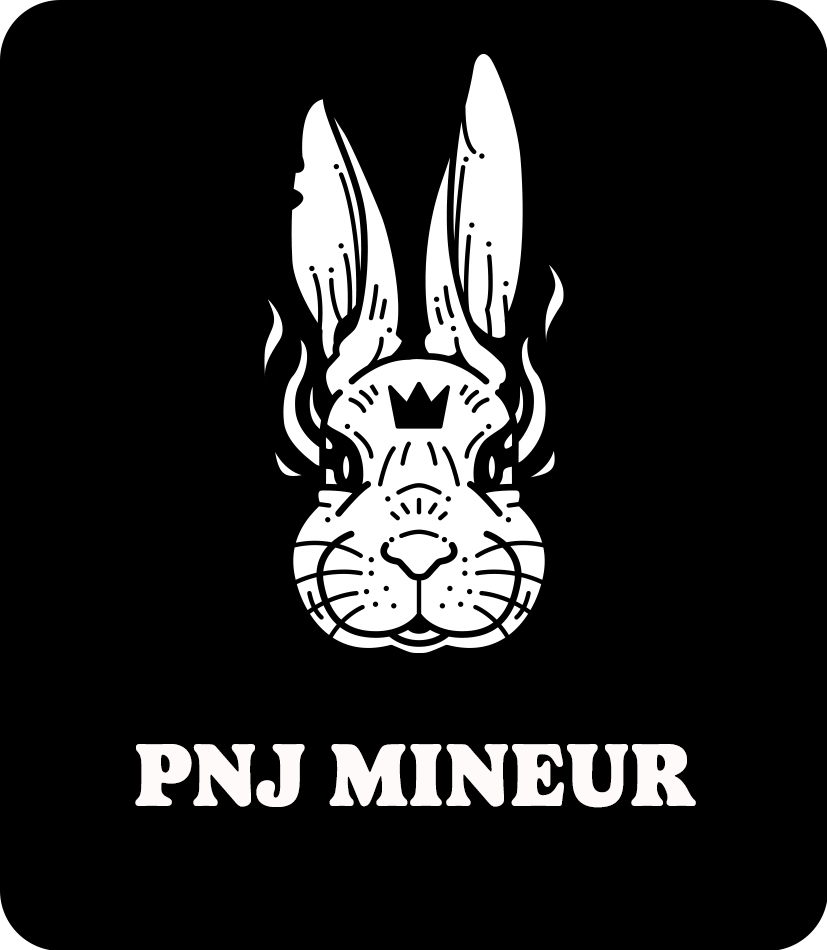 Choisir un PNJ mineur de la campagne