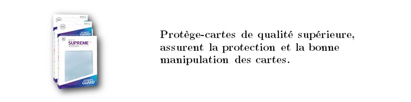 2x80 Protèges cartes
