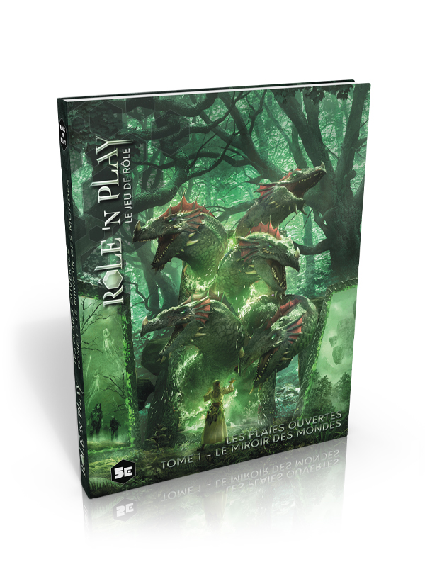 RnP - Les plaies ouvertes, Tome 1 Le miroir des mondes