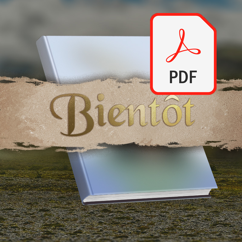 Livre II : Secrets en PDF