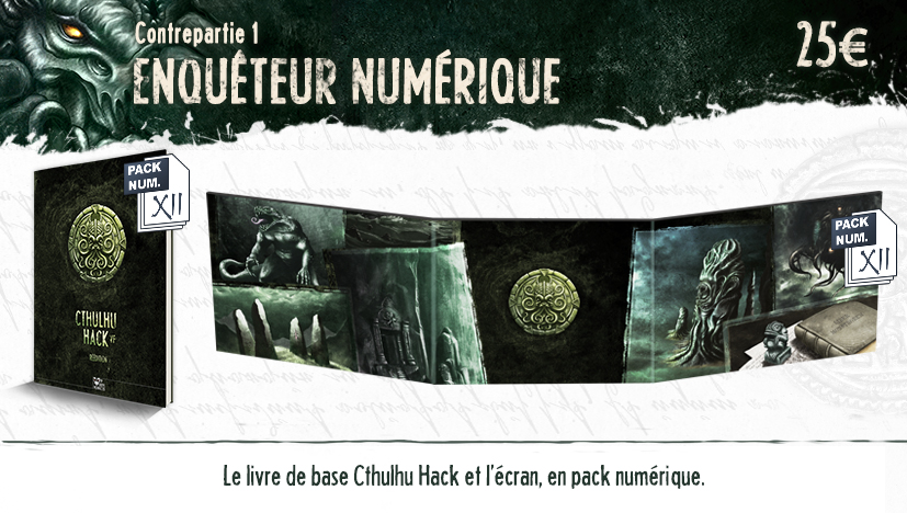 Enquêteur numérique