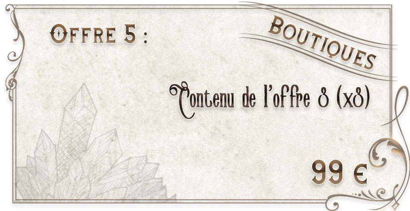 OFFRE 5 : Boutiques (offre n°3 x3)