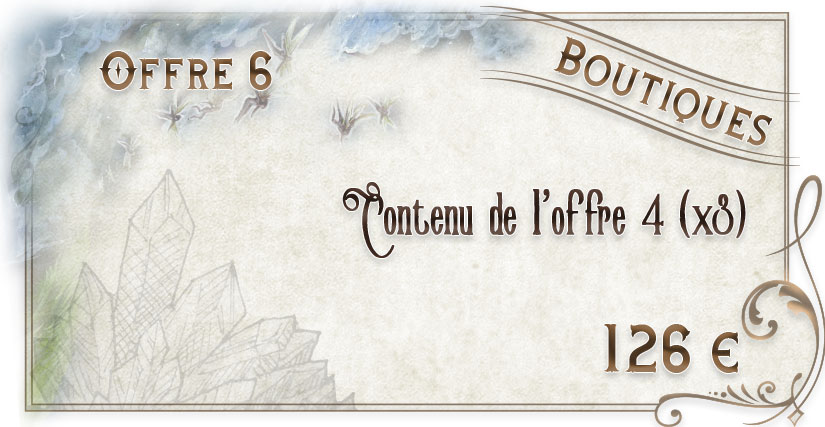 OFFRE 6 : Boutiques (offre n°4 x3)