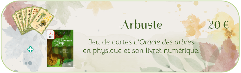 Arbuste