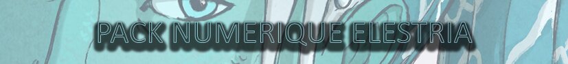 Pack Numérique Elestria