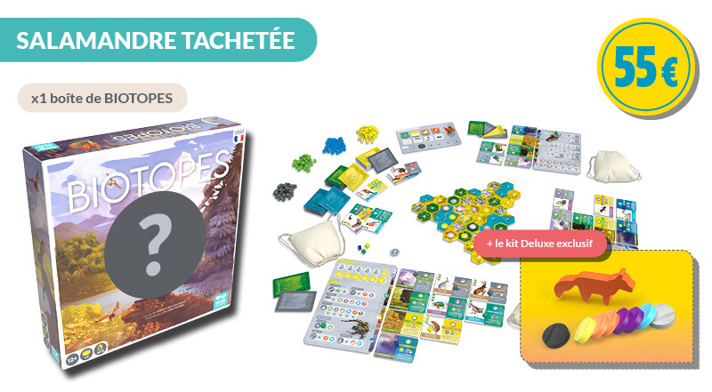 Salamandre tachetée