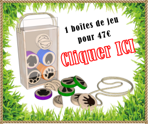 1 boîte de jeu 