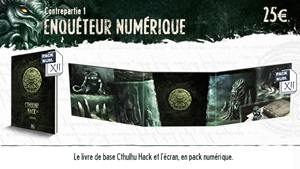 Enquêteur numérique