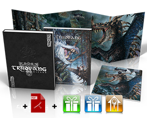 Offre n°2 :  Champion de Storme