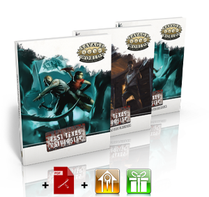 Offre #1 : Sophomore