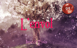 L'envol