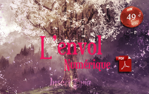 L'envol - numérique