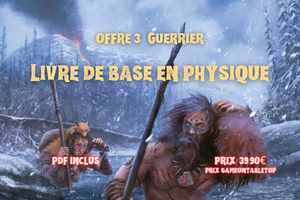 Offre 3 : Guerrier