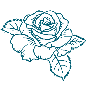 Rose (Softcover-Buch + PDF)