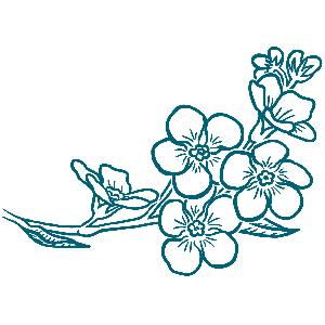 Vergissmeinnicht (Im Herzen dabei)