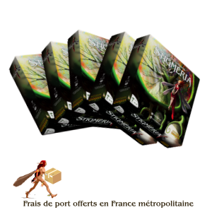 Offre boutique 5 boîtes de jeu Stigméria