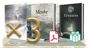 Errances x3 - Offre Boutique