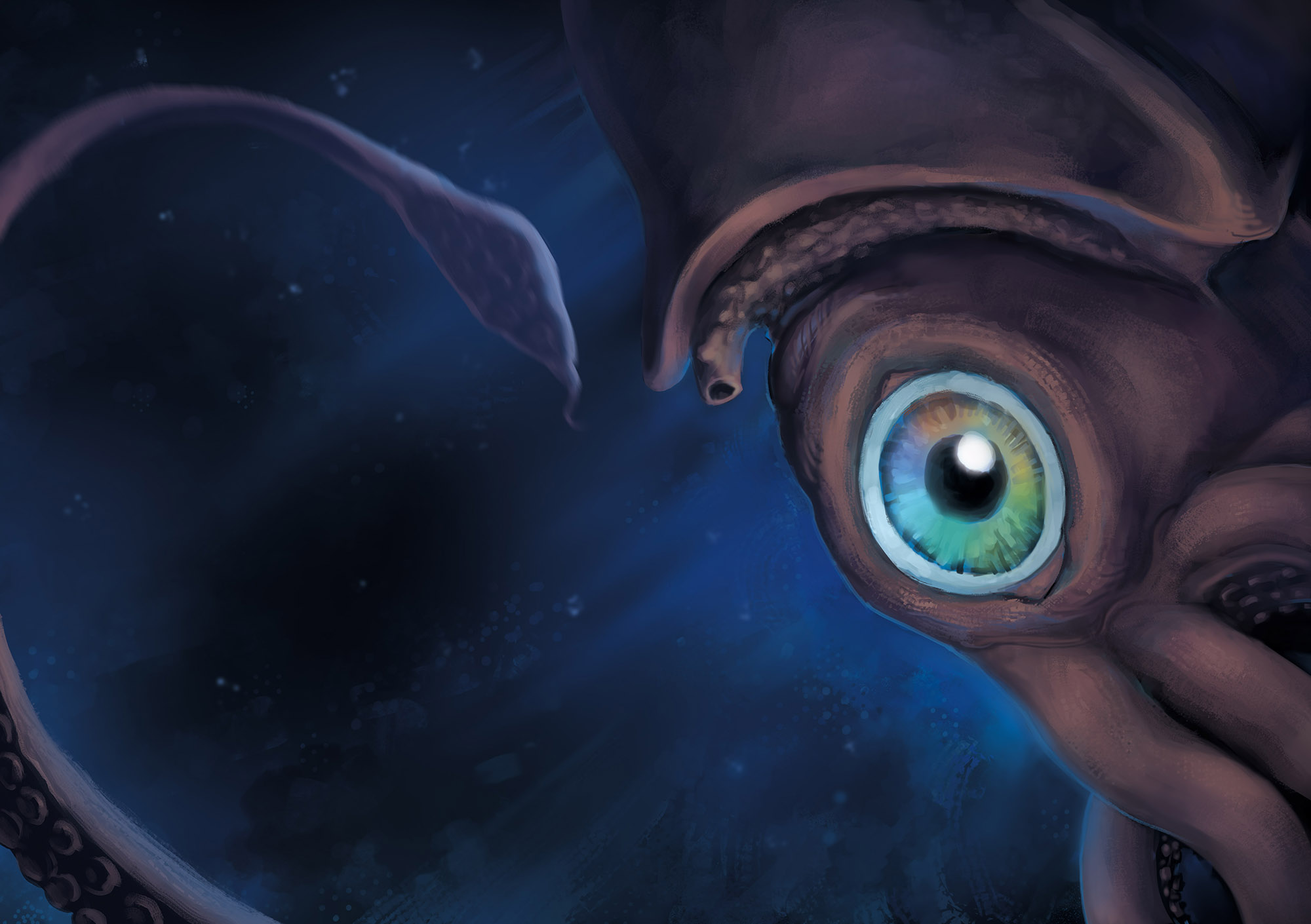 background Architeuthis