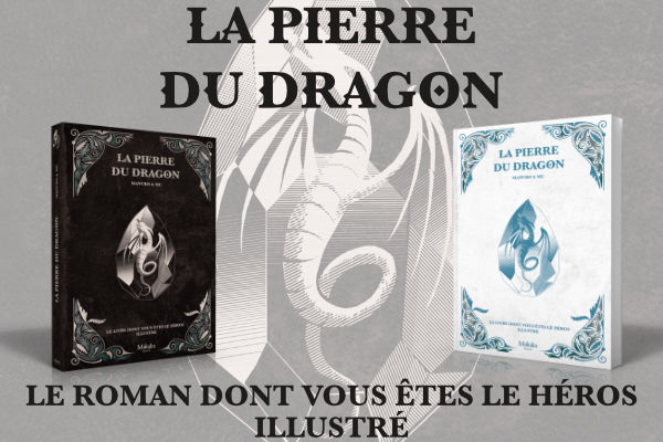 La pierre du dragon - Le roman dont vous êtes le héros illustré