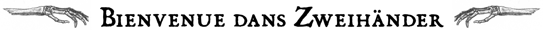 Bienvenue dans Zweihänder